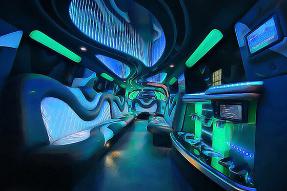 Leather interior