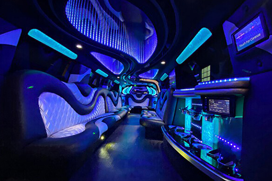 Deluxe modern interior