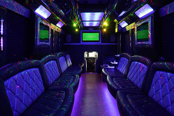 exclusive bar & cooler area